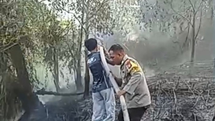 298 Karhutla Terjadi di Palangka Raya Sejak Juni, 261,41 Hektare Lahan Terbakar
